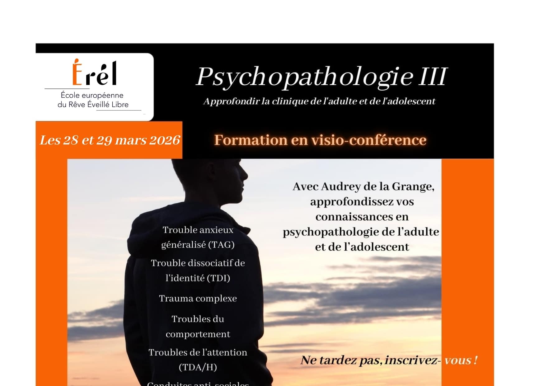 Psychopathologie de l'adulte et de l'adolescent